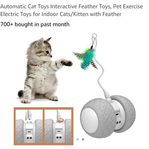 Cat Toy